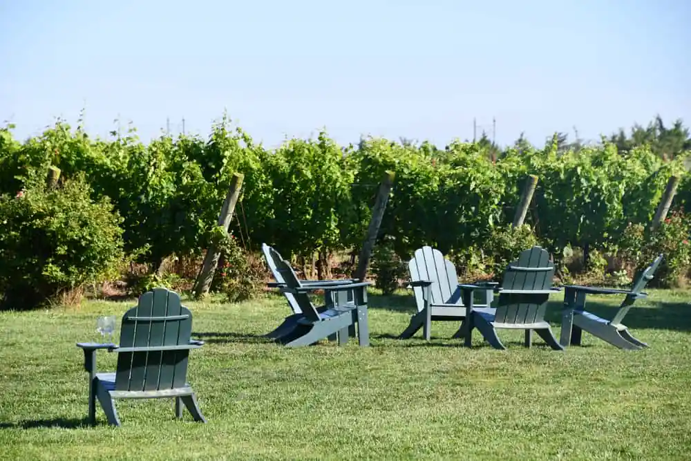 Saltwater Farm Vineyard