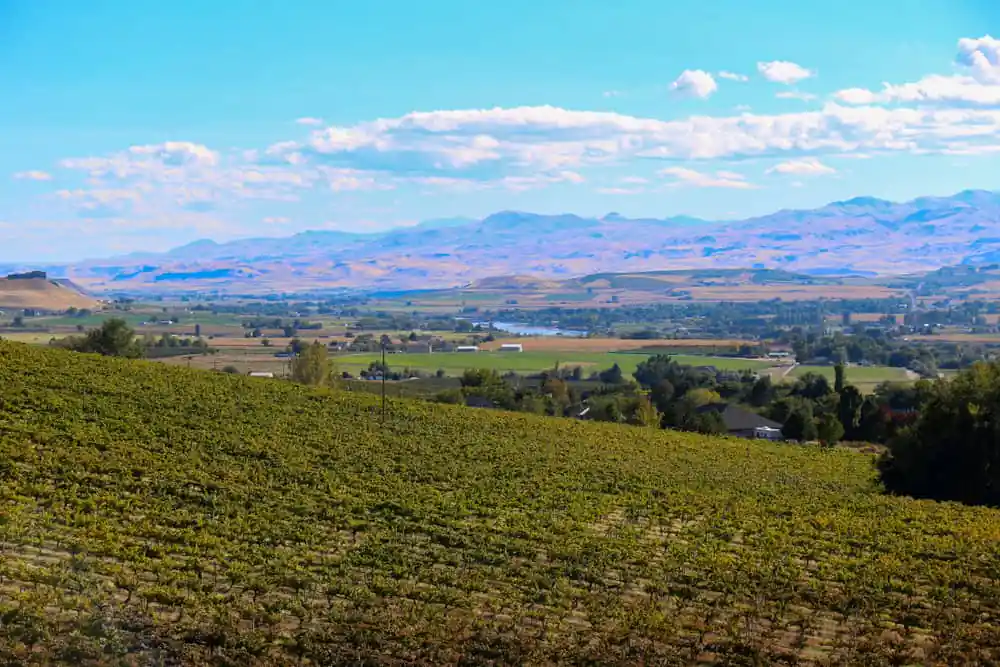 Snake River Valley Wine Region