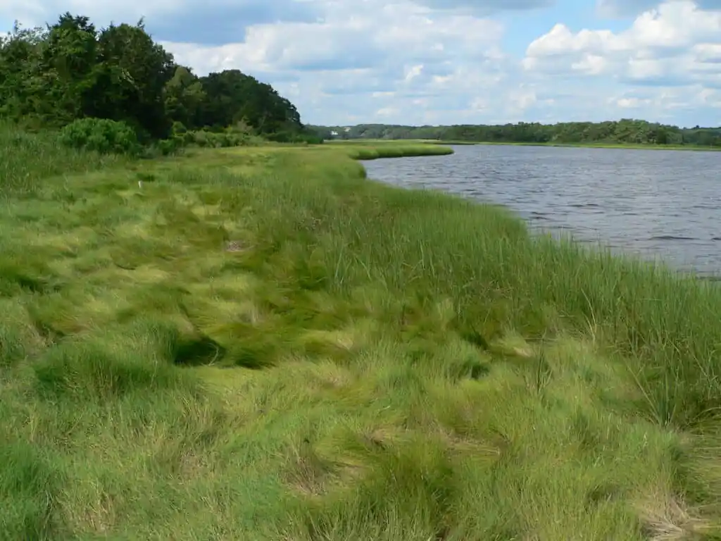 Slocumβs River Reserve