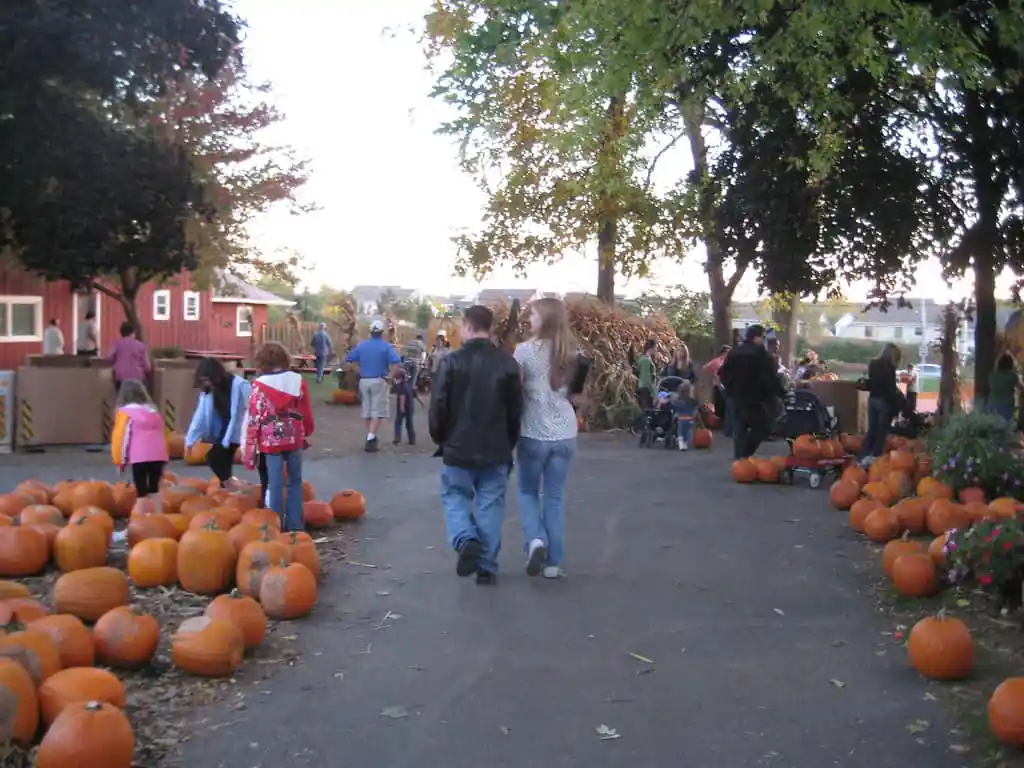 Sonny Acres Farm