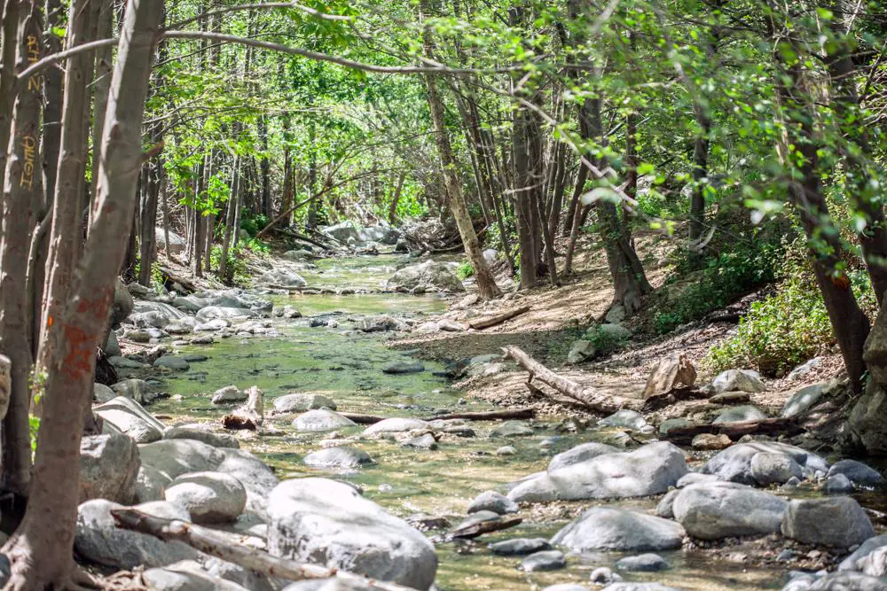 Eaton Canyon