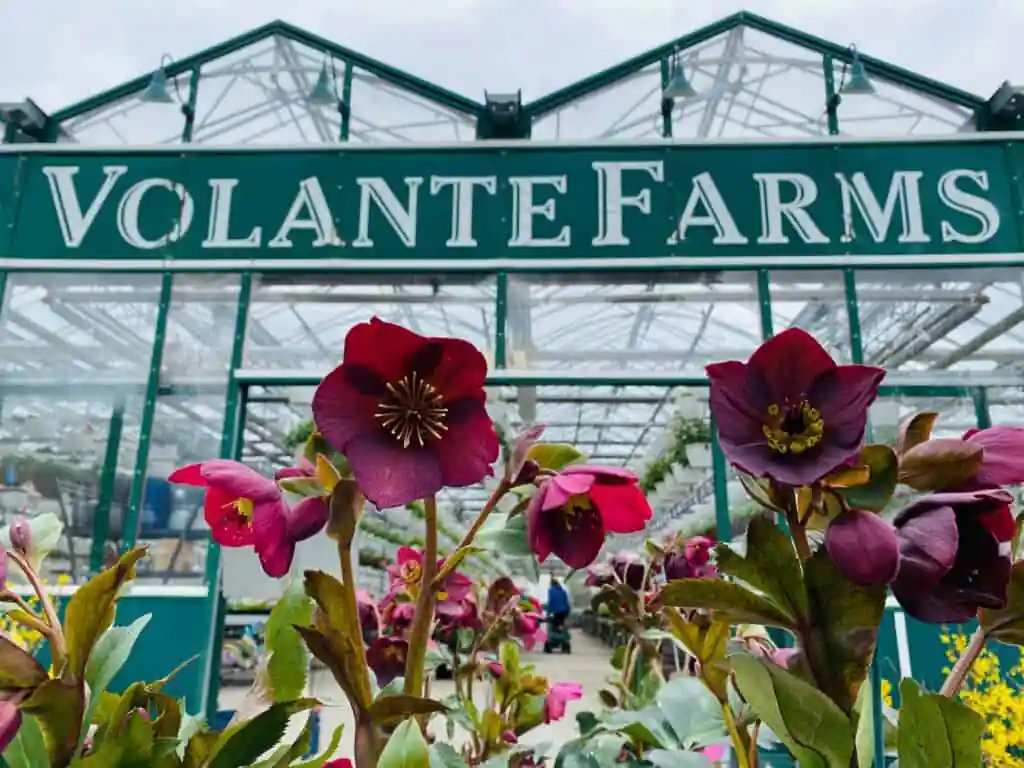Volante Farms