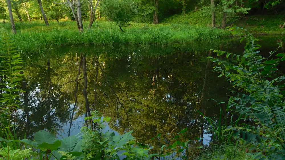Arcadia Wildlife Sanctuary