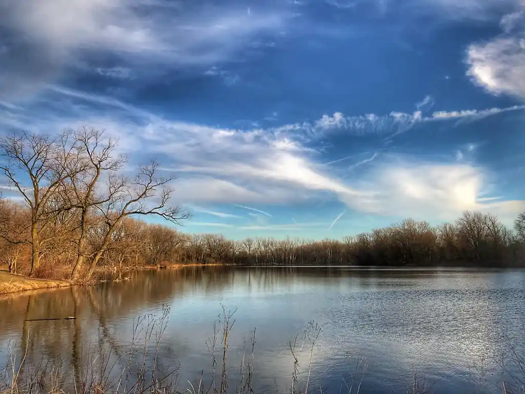 Beaubien Woods