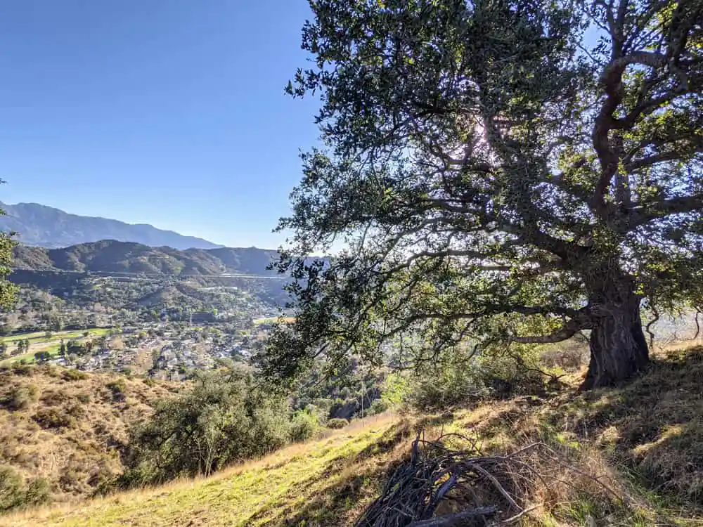 Beaudry Loop
