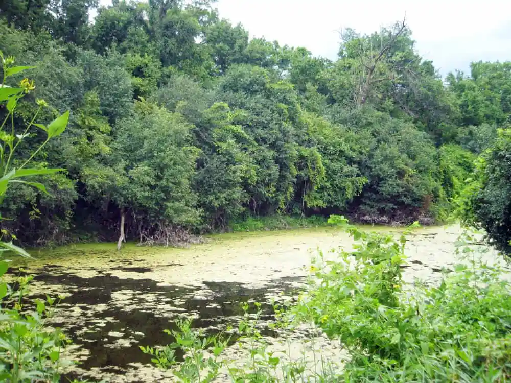 Beulah Park