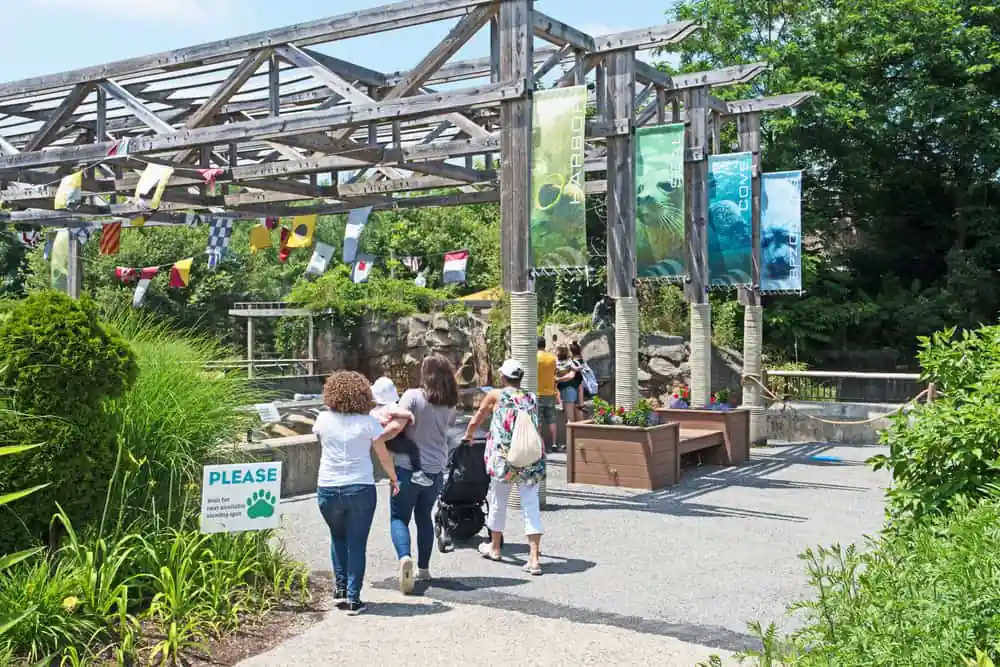 Buttonwood Park Zoo