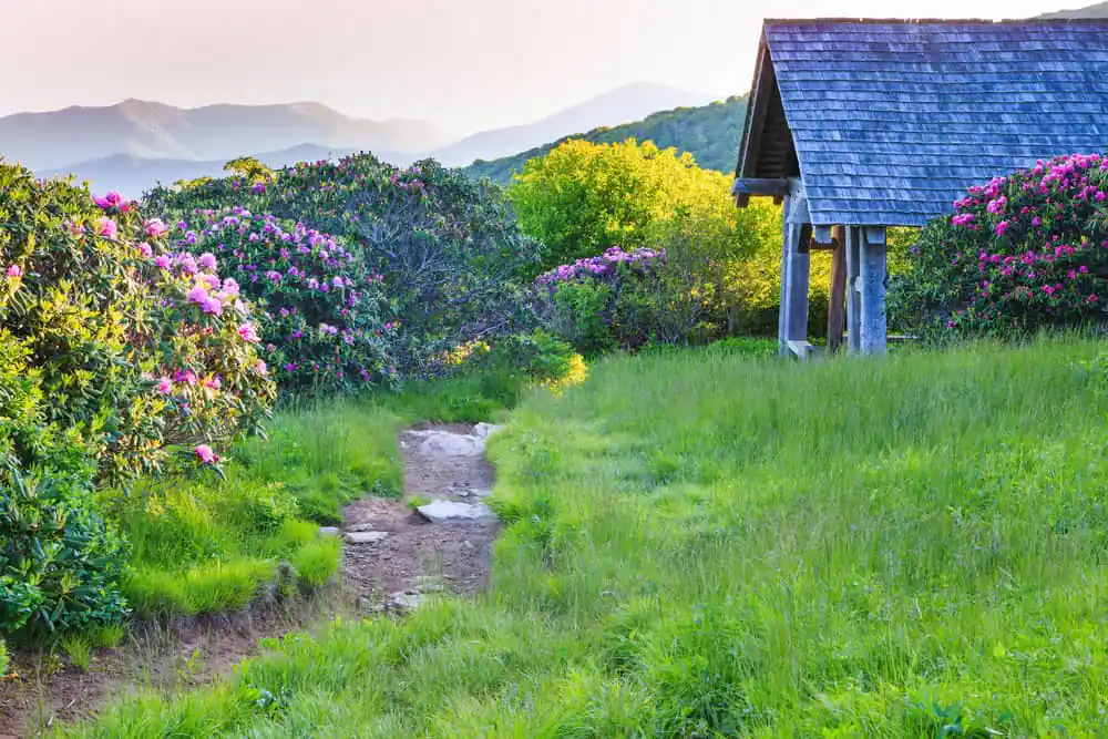 Craggy Gardens