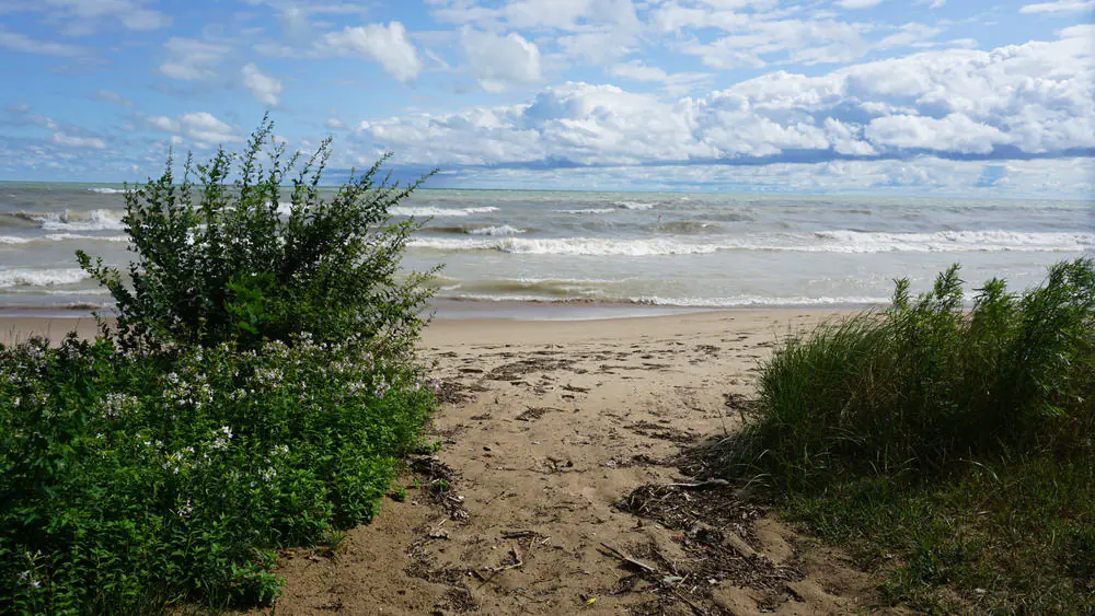 Elmwood Dunes Preserve