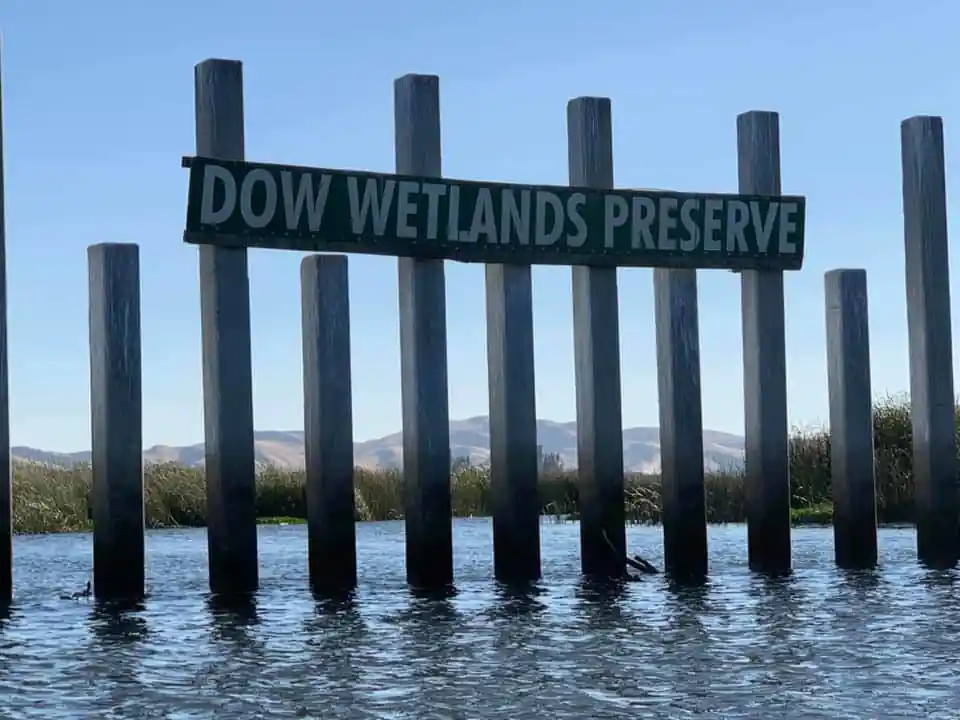 Dow Wetlands Wildlife Habitat Preserve