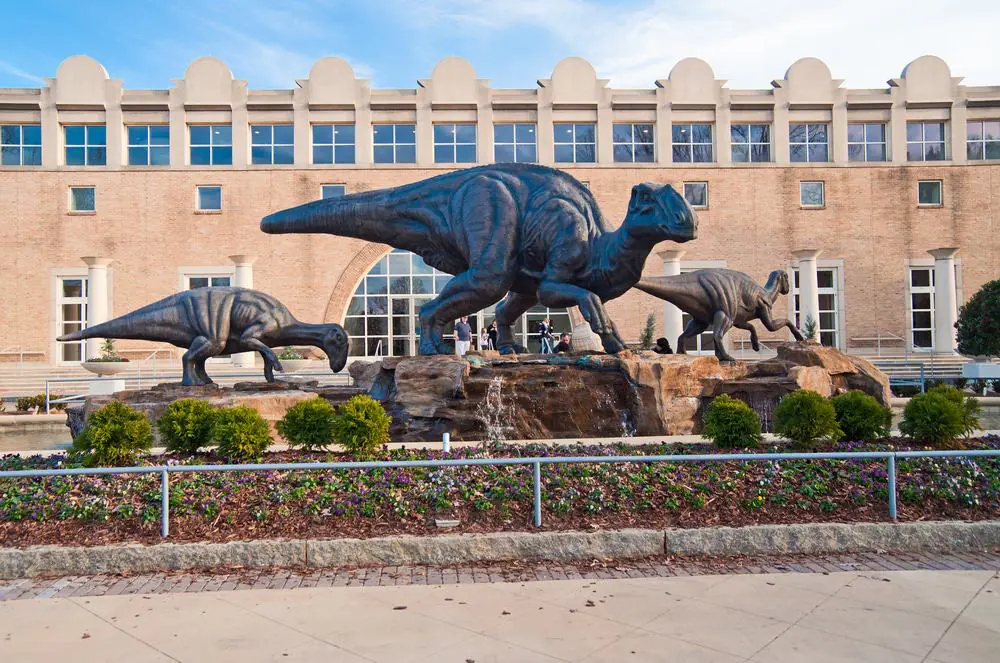 Fernbank Museum of Natural History