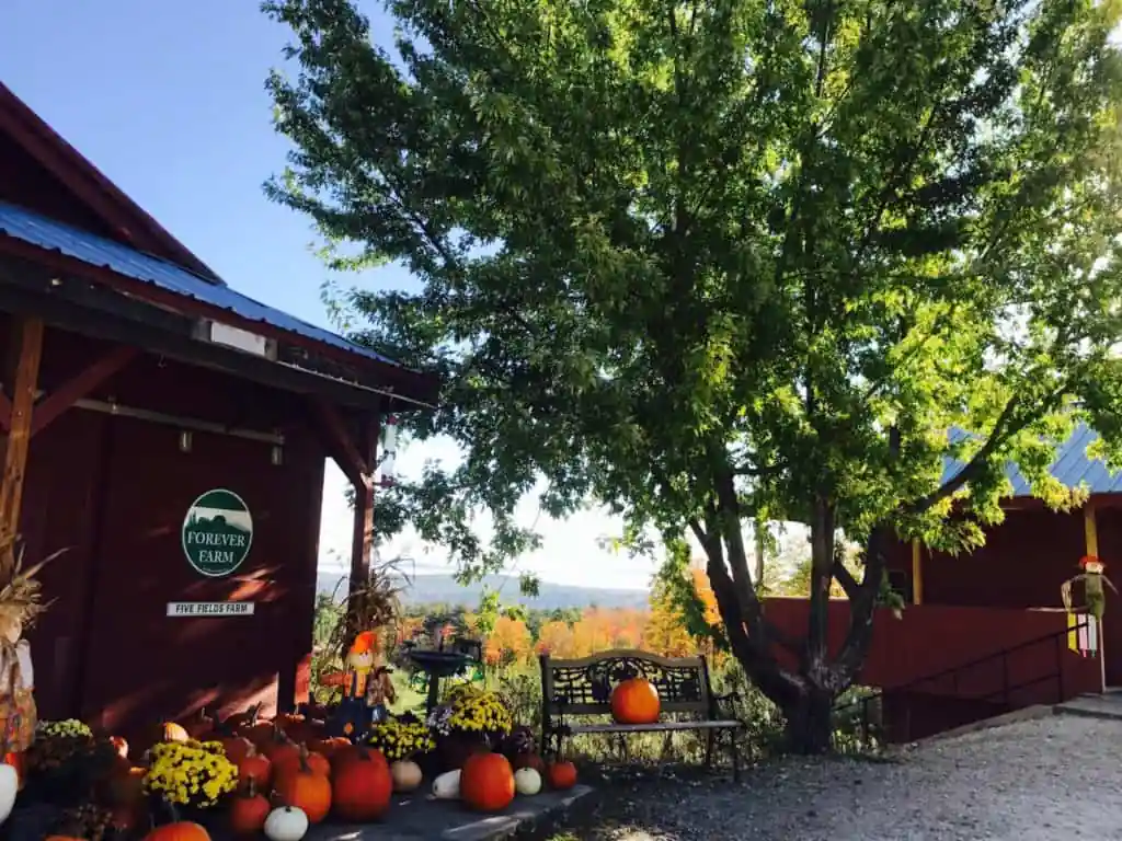 Five Fields Farm β Gyger Orchards