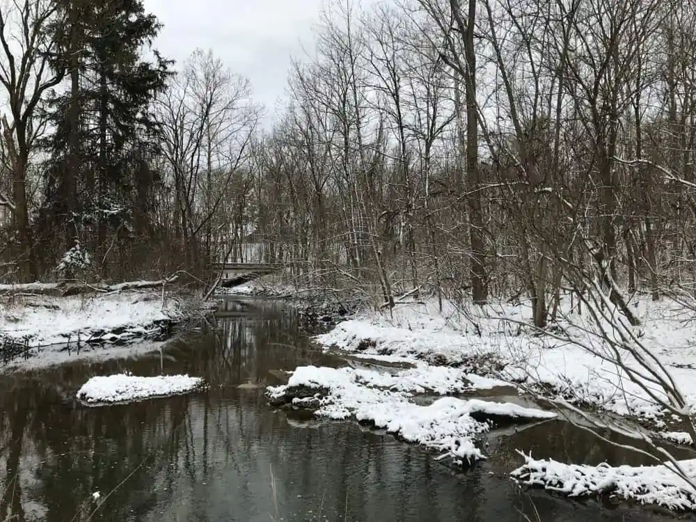 Cool Creek, Flowing Well Park