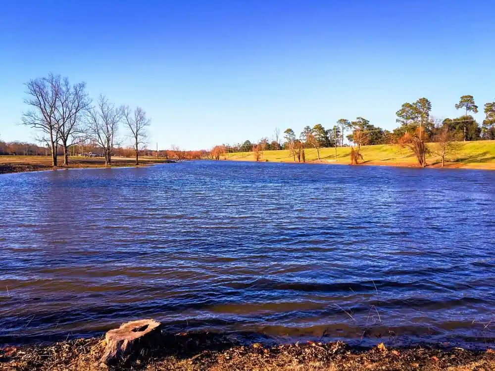 Forsythe Park, Monroe