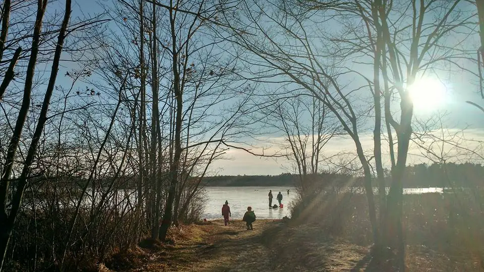 Great Pond Trail