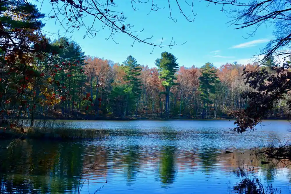 Haggetts Pond