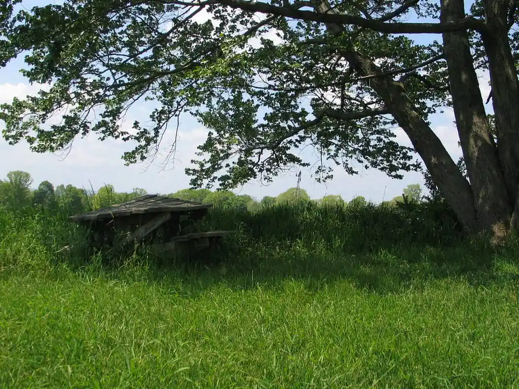 Happy Landings Farm