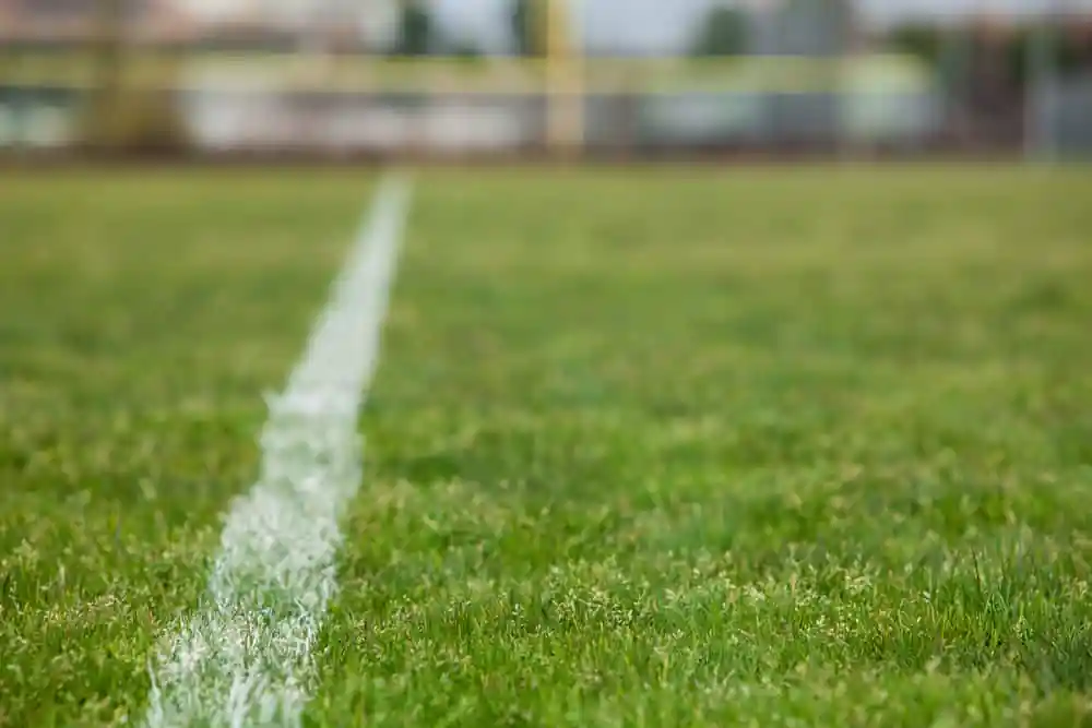 Soccer Field