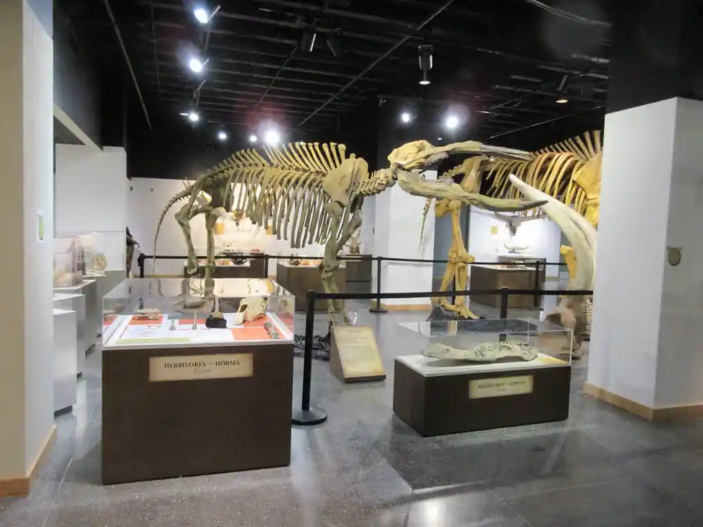 Lafayette Science Museum