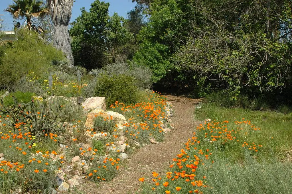 Environmental Nature Center