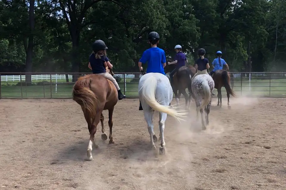 Legends Equestrian Center