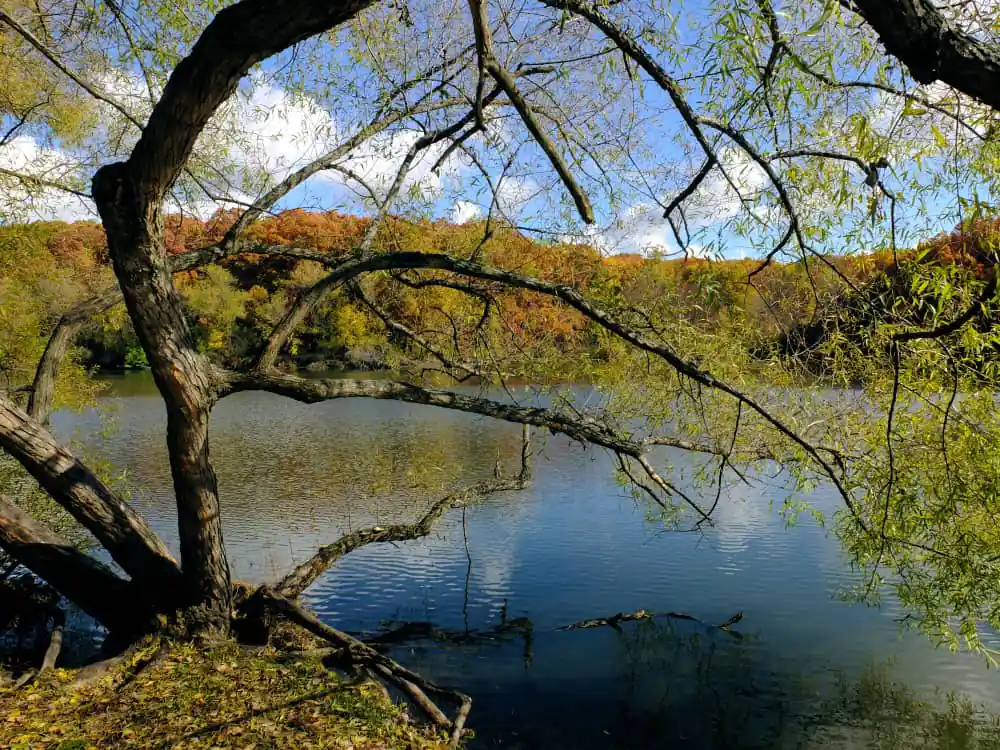 Lemon Lake County Park