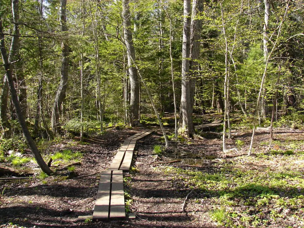 Falmouth Nature Preserve