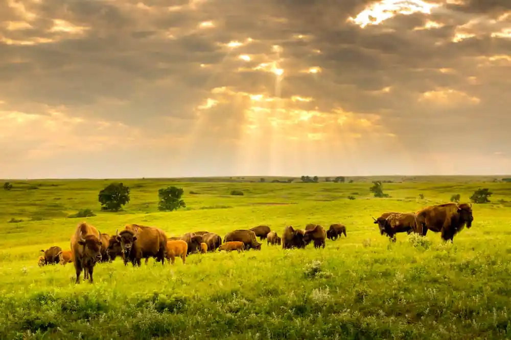 Maxwell Wildlife Refuge