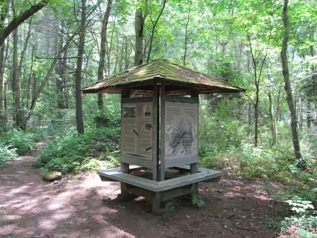 Nashoba Brook Wildlife Sanctuary