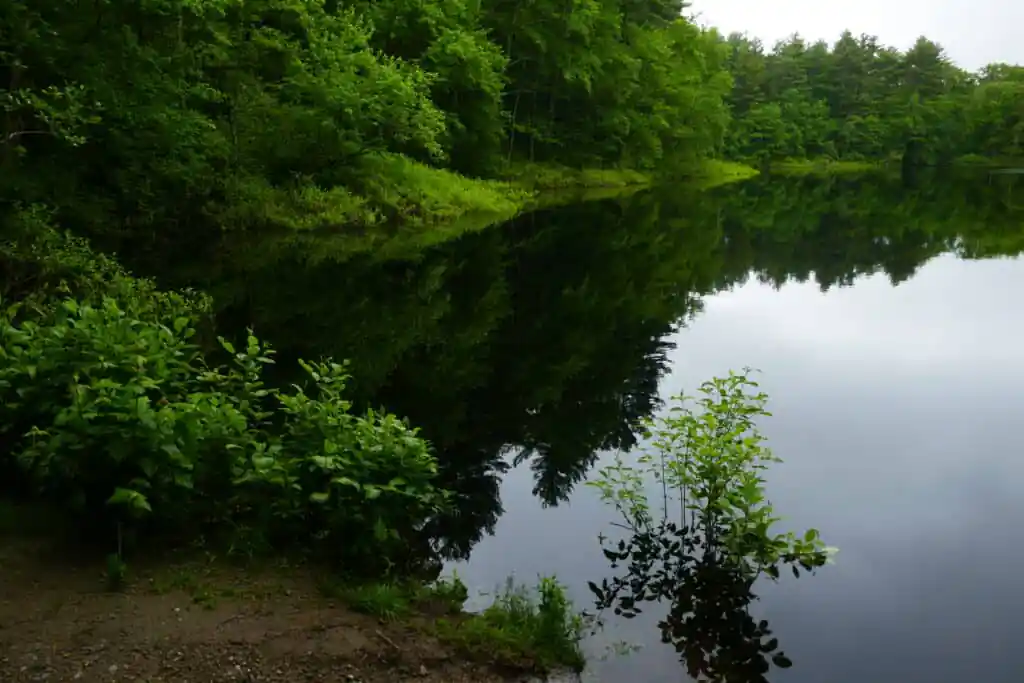 Noon Hill Reservation
