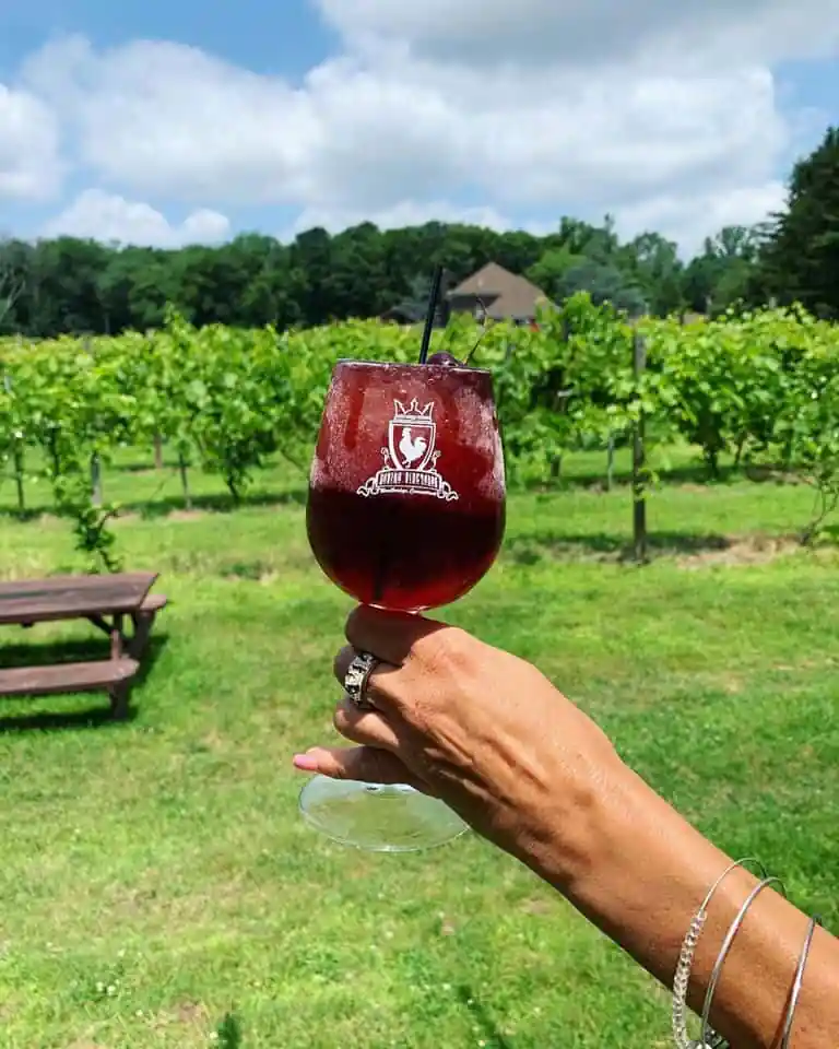 Savino Vineyards