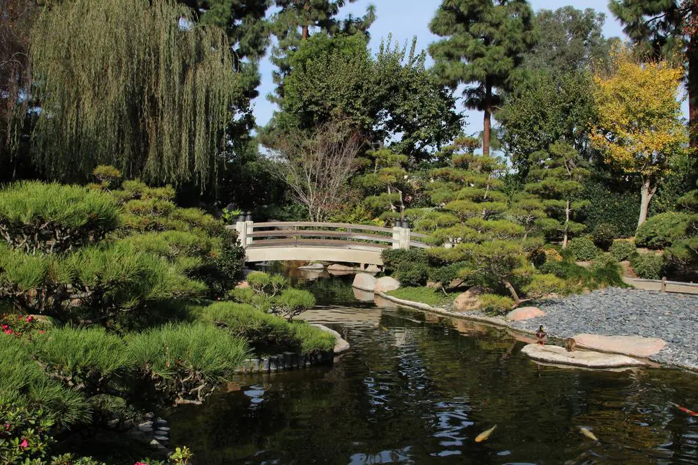 Earl Burns Miller Japanese Garden