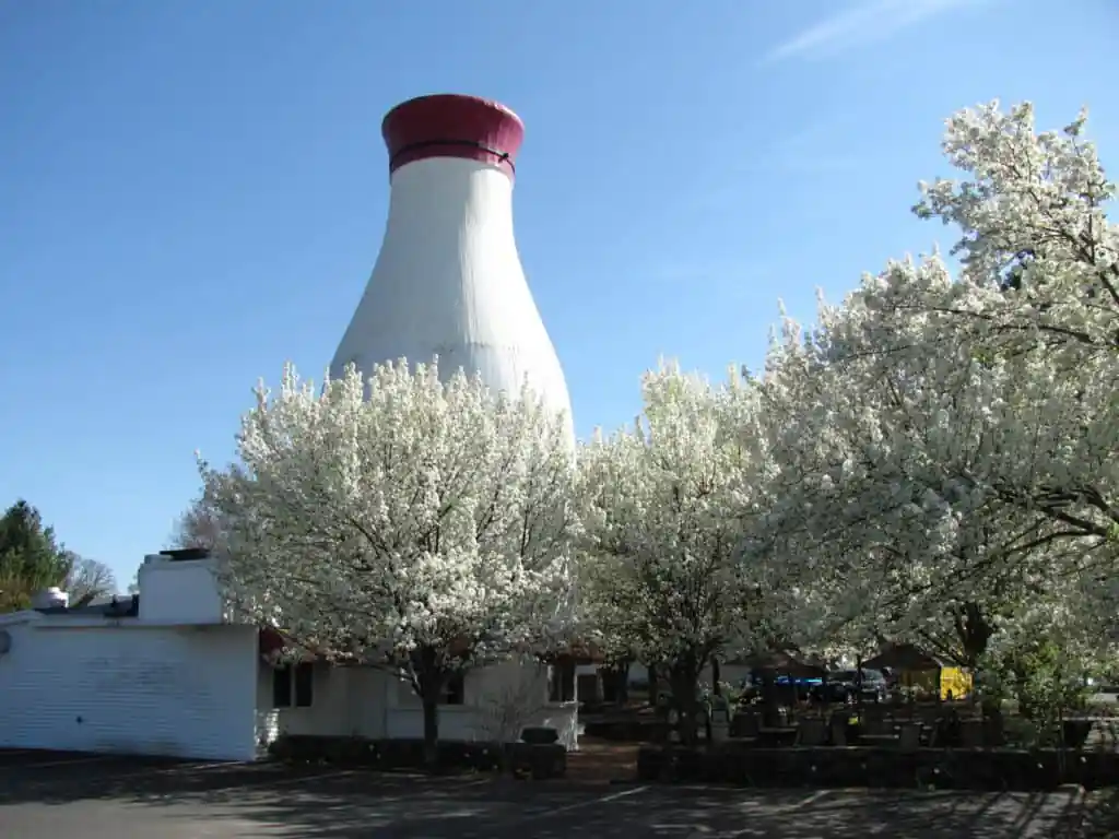 The Milk Bottle