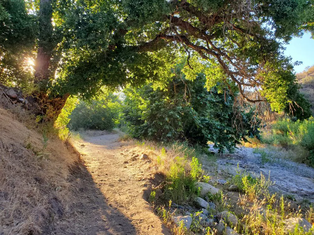 Placerita Canyon
