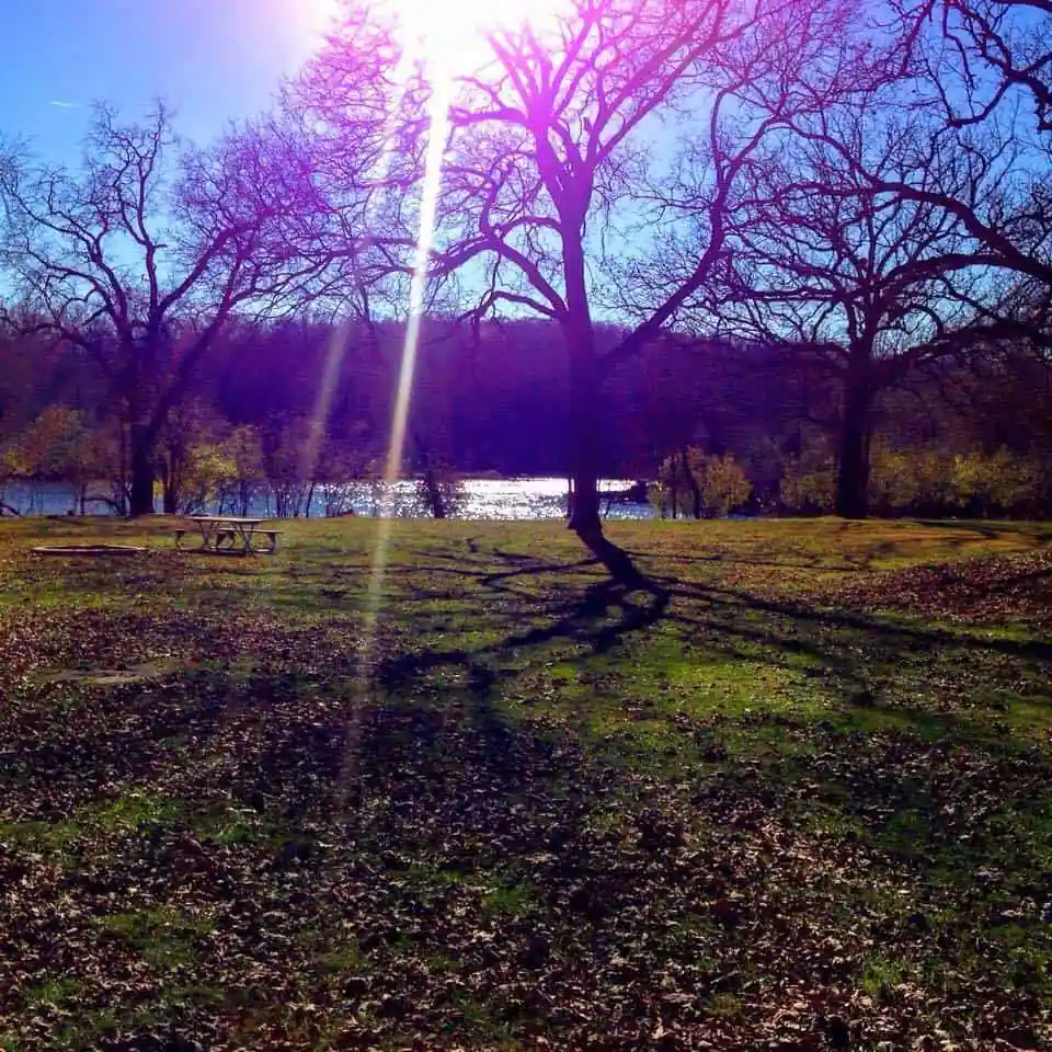 Vasa Park