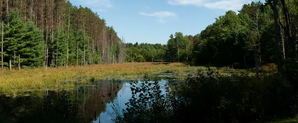 Wells State Park