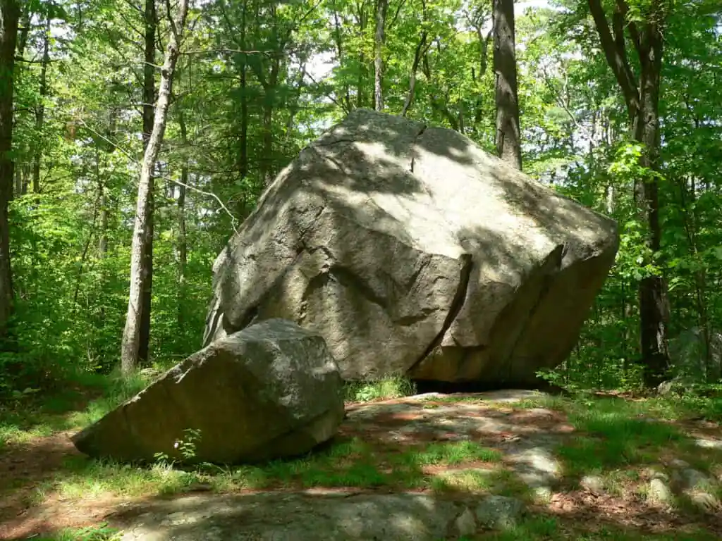 Whitney and Thayer Woods