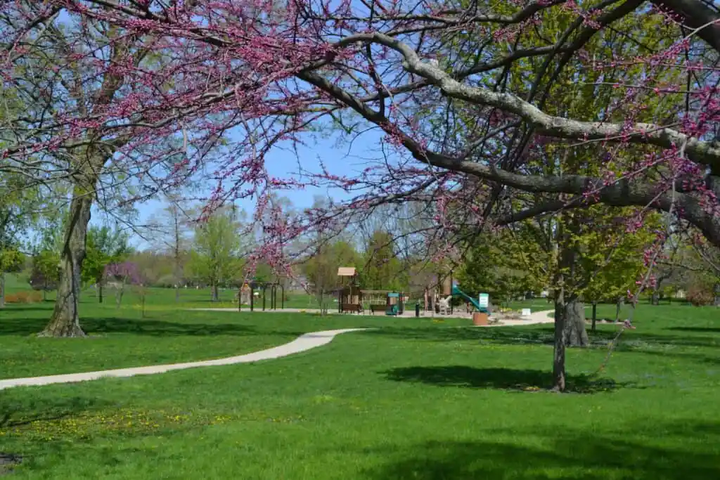 Annie’s Woods