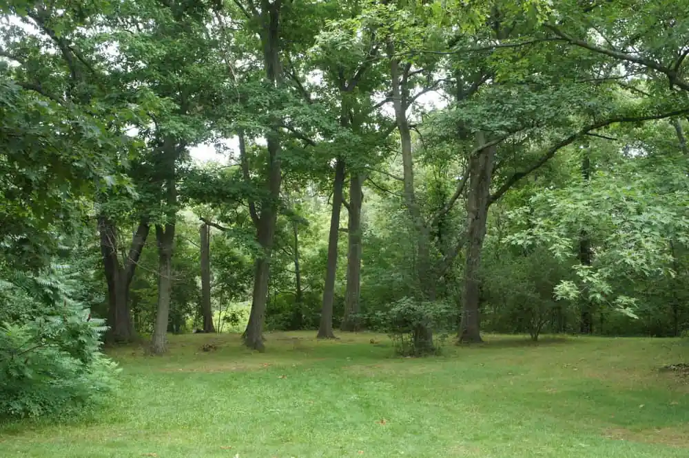 Beaver Brook Reservation