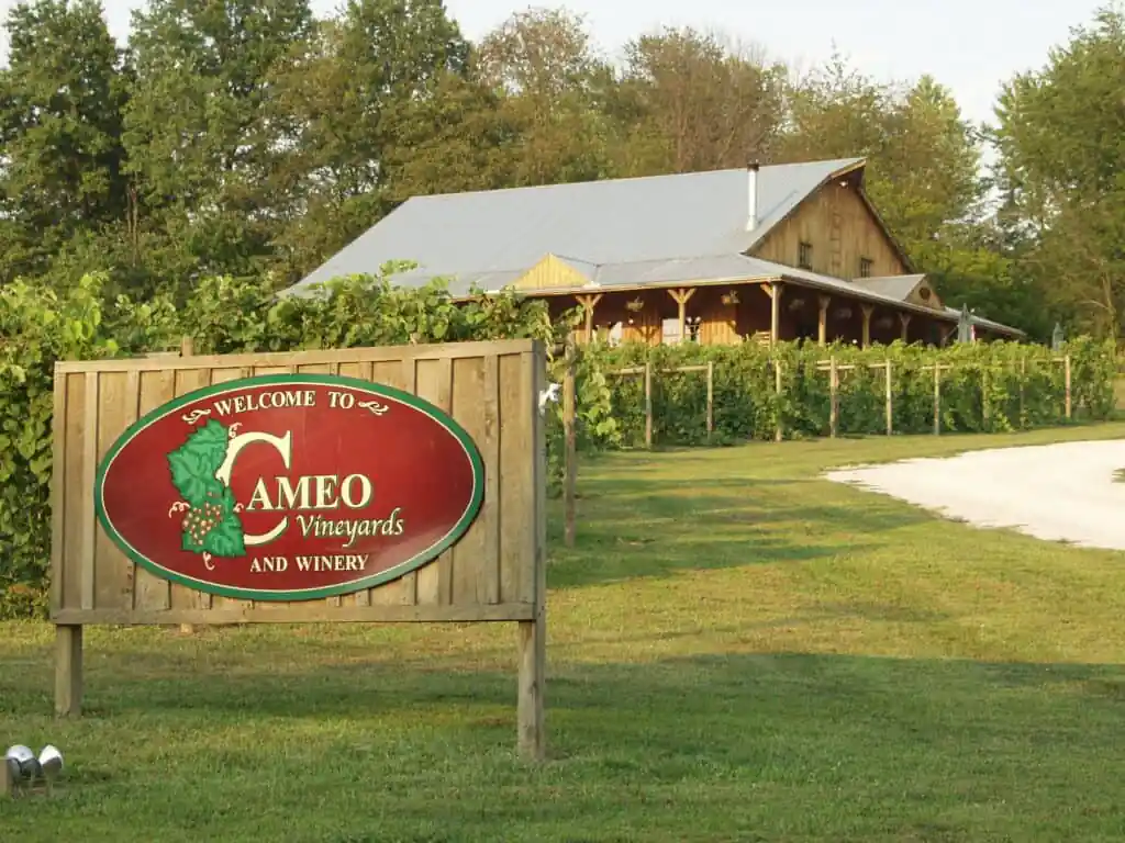 Cameo Vineyards