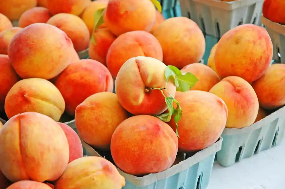 Fresh Peaches at the Farmers Market