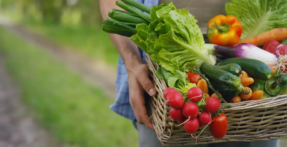 Vegetables