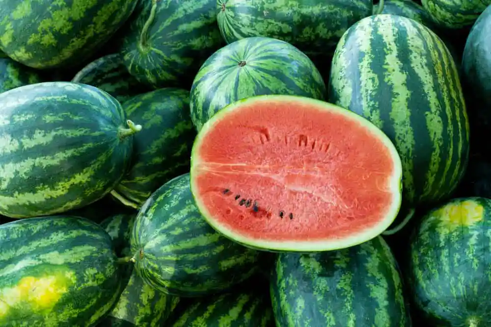Watermelons