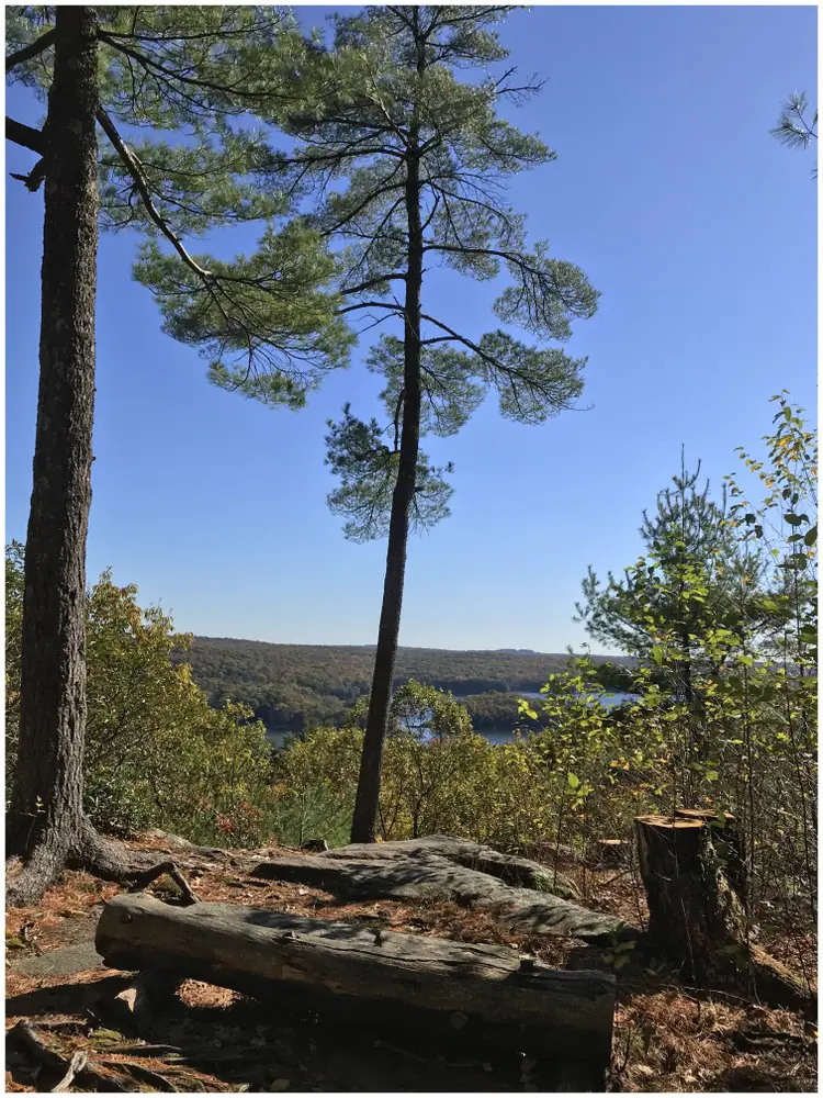 Devil's Den Preserve