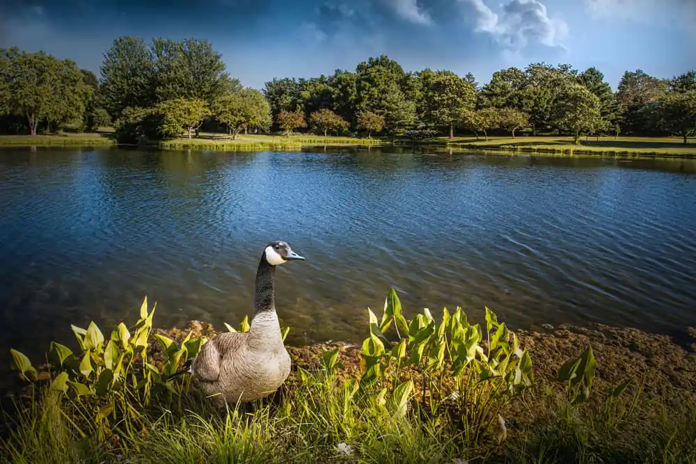 Discovery Park, Muscatine