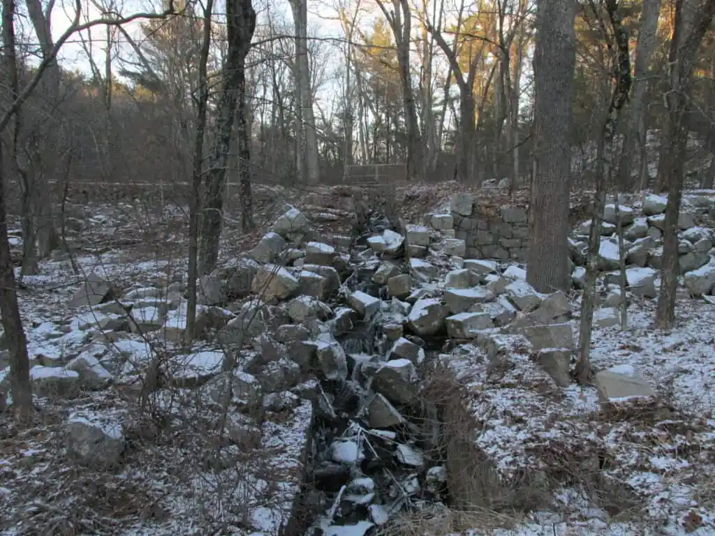 Fork Factory Brook Reservation