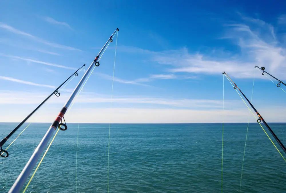 Deep Sea Fishing