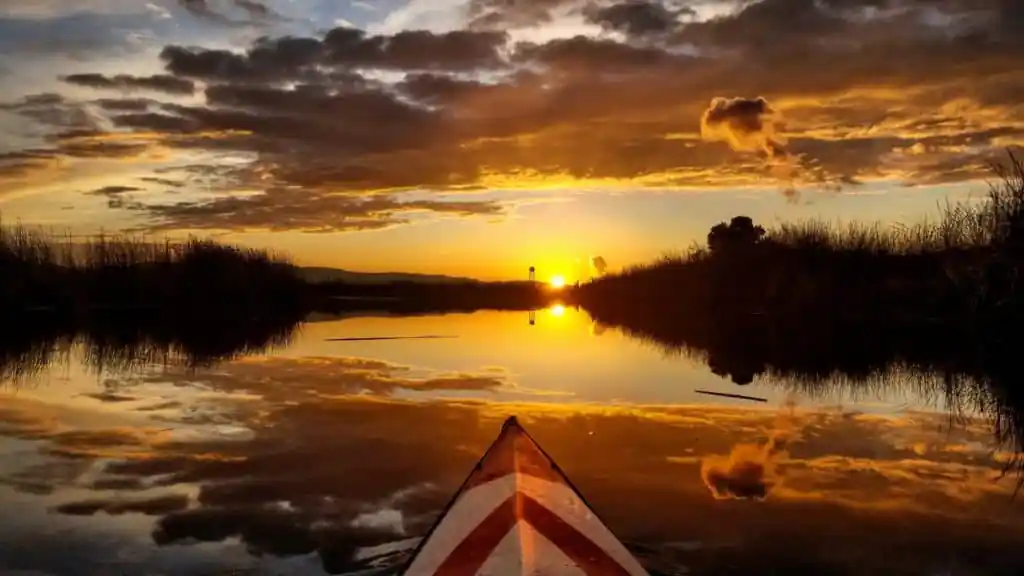 Delta Kayak Adventures