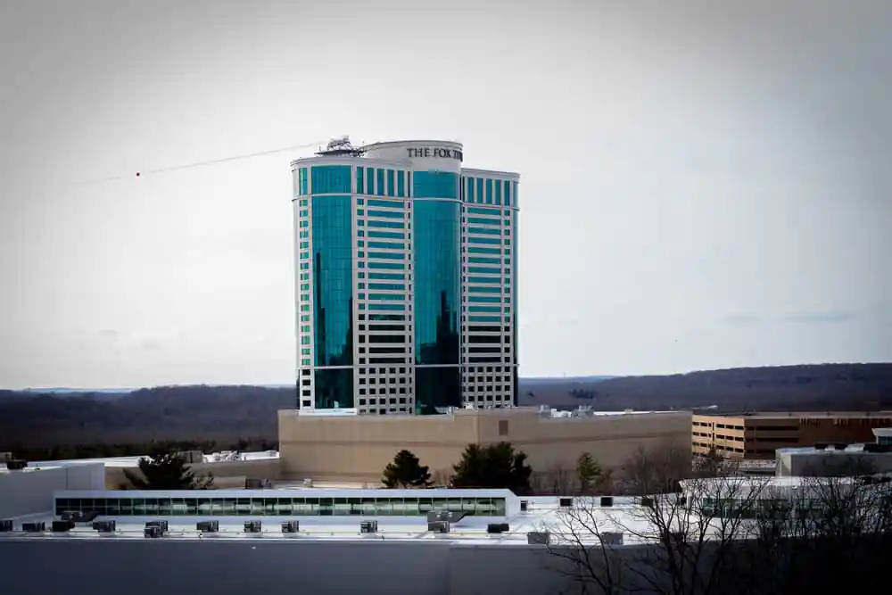 The Fox Tower