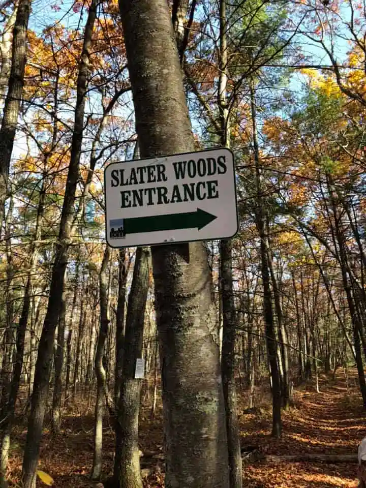 Slater Woods
